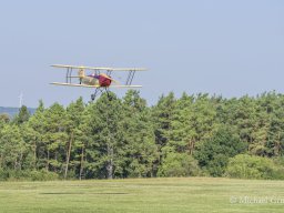 Holzwurmtreffen 2024